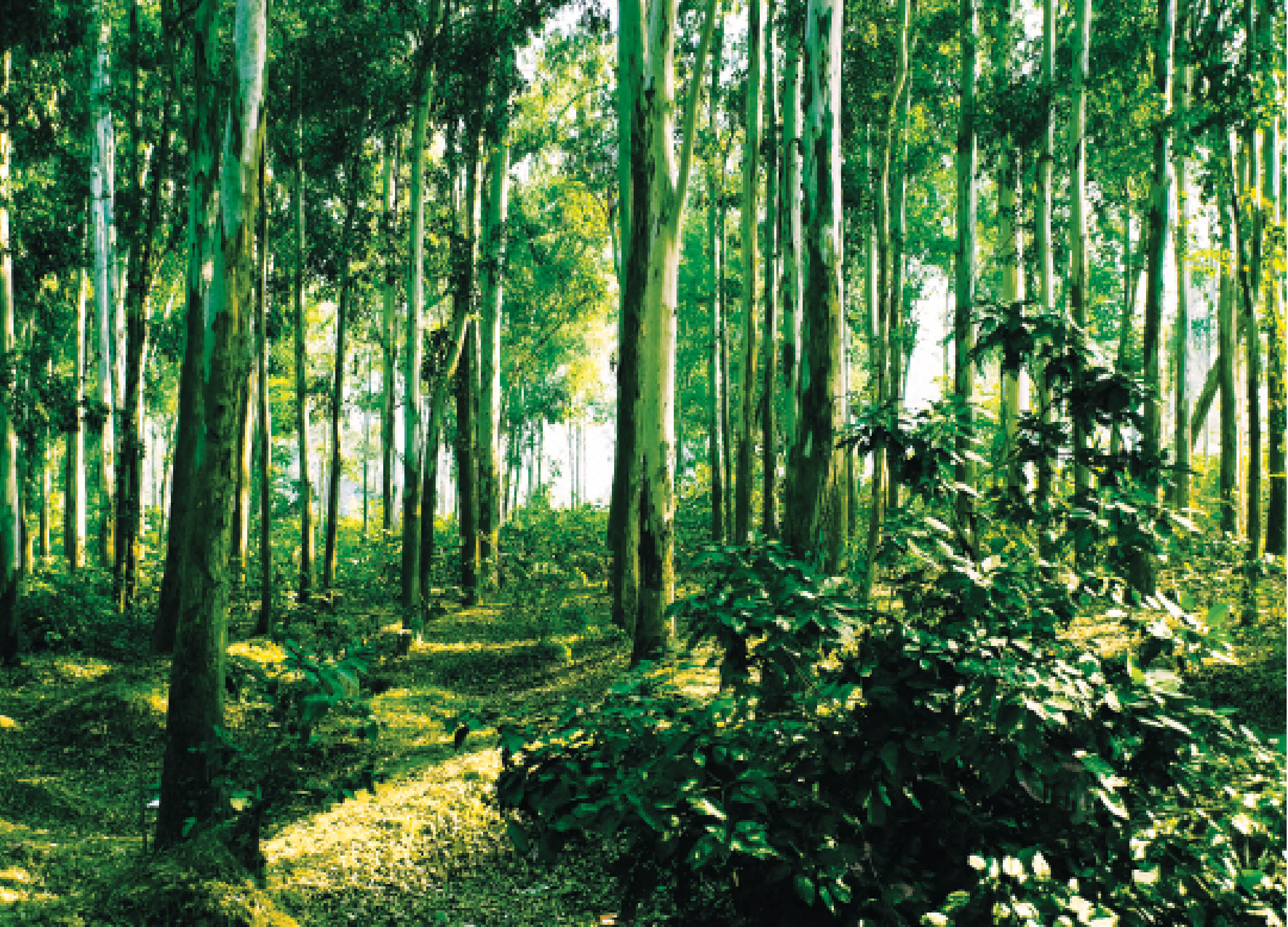 Biodiversity in India